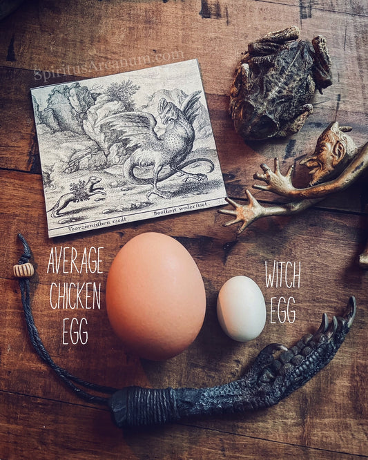 Witch Eggs: A Curious Case of Chickens, Curses, Cockatrices, and Crowns