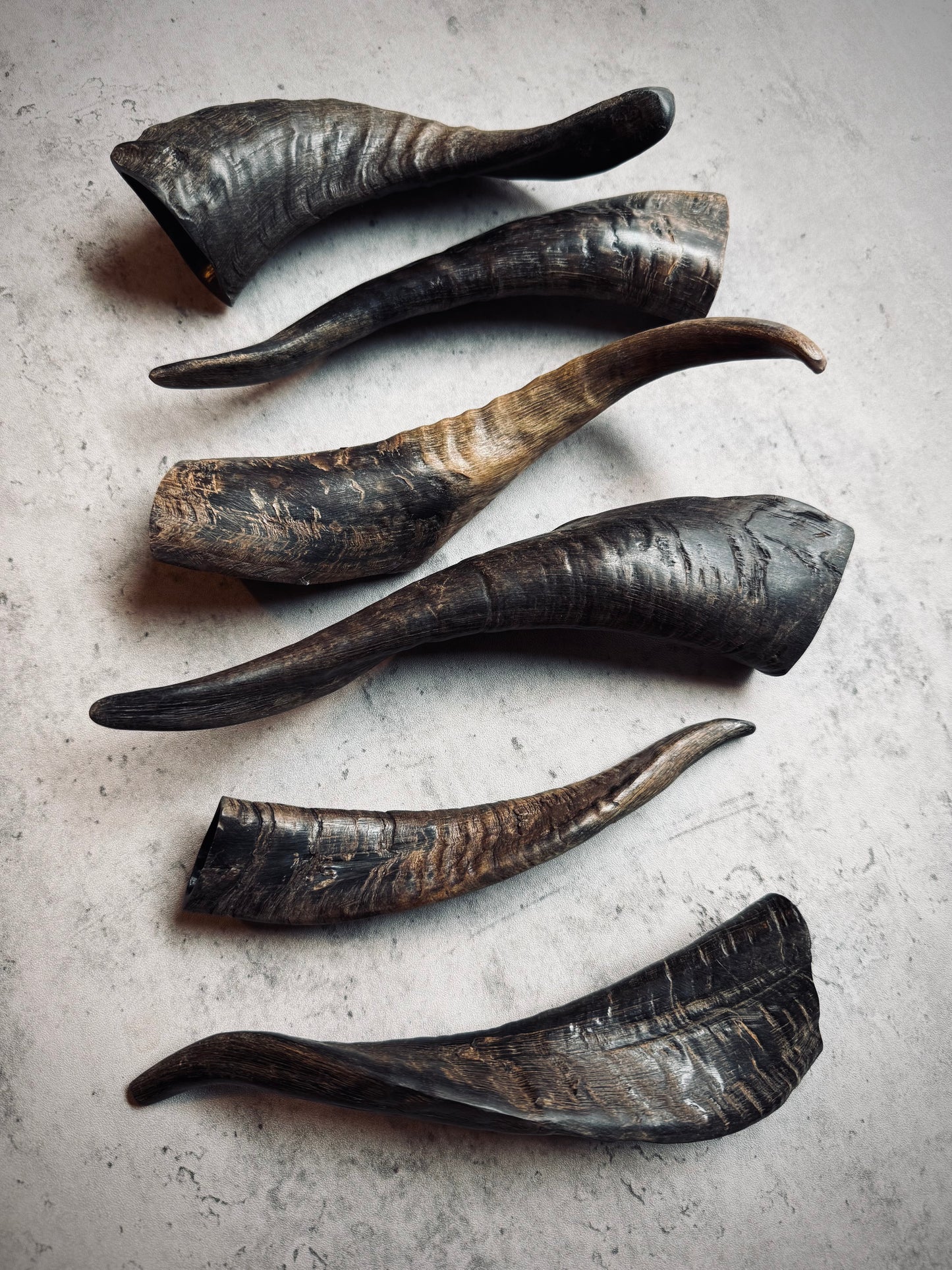 Goat Horns