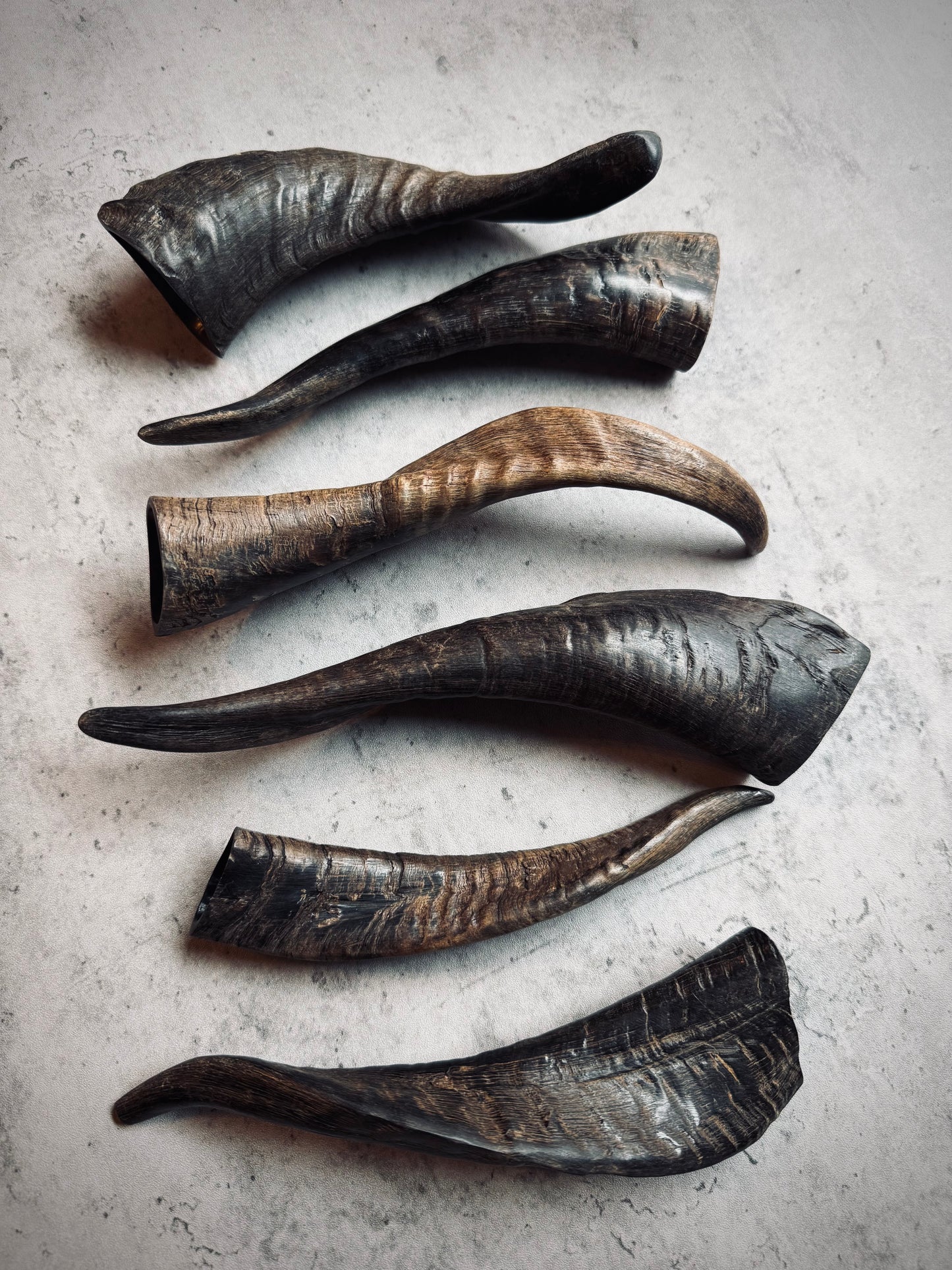 Goat Horns