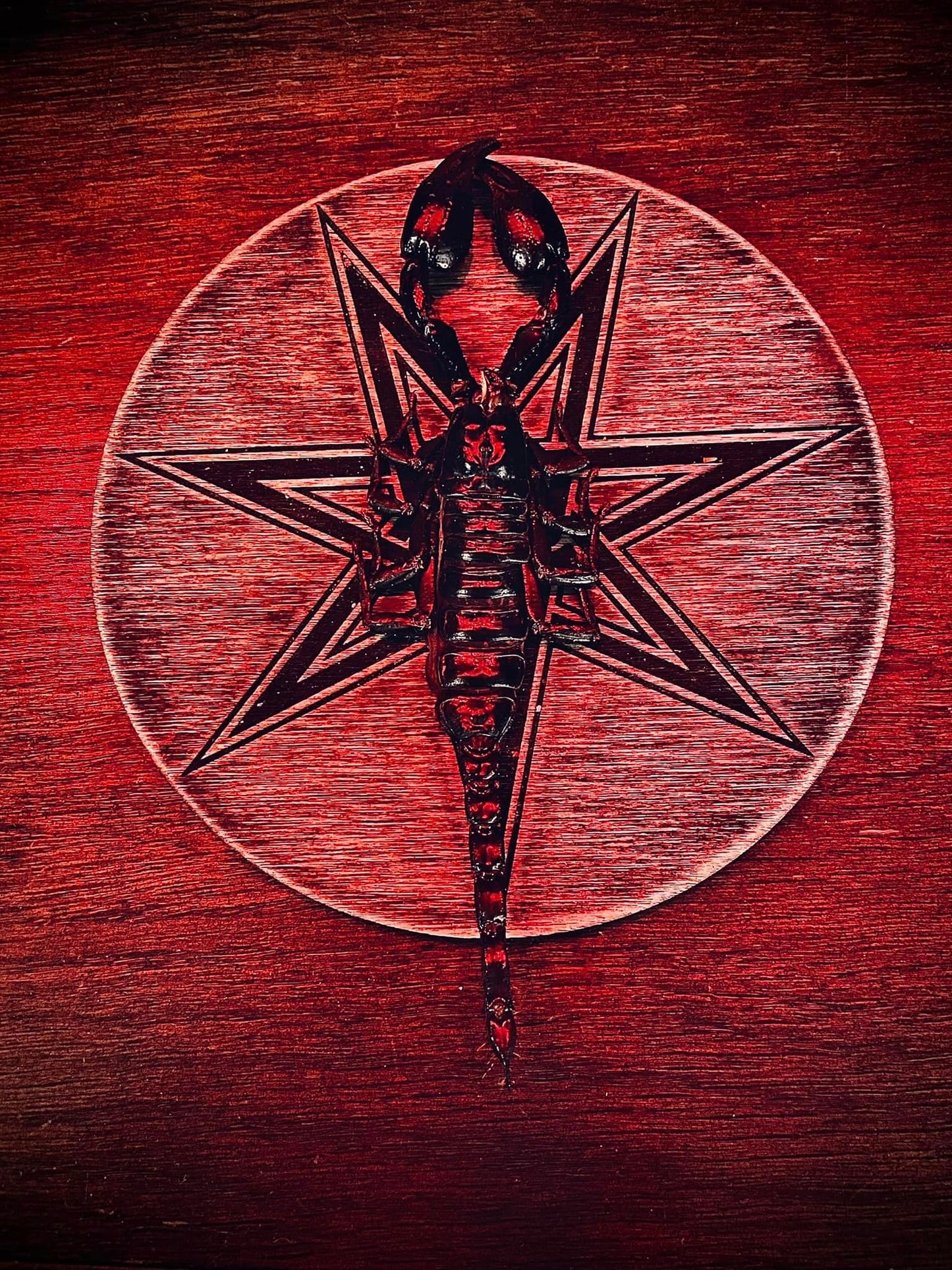 Scorpion Oil