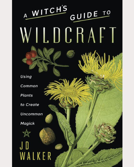 A Witch's Guide to Wildcraft