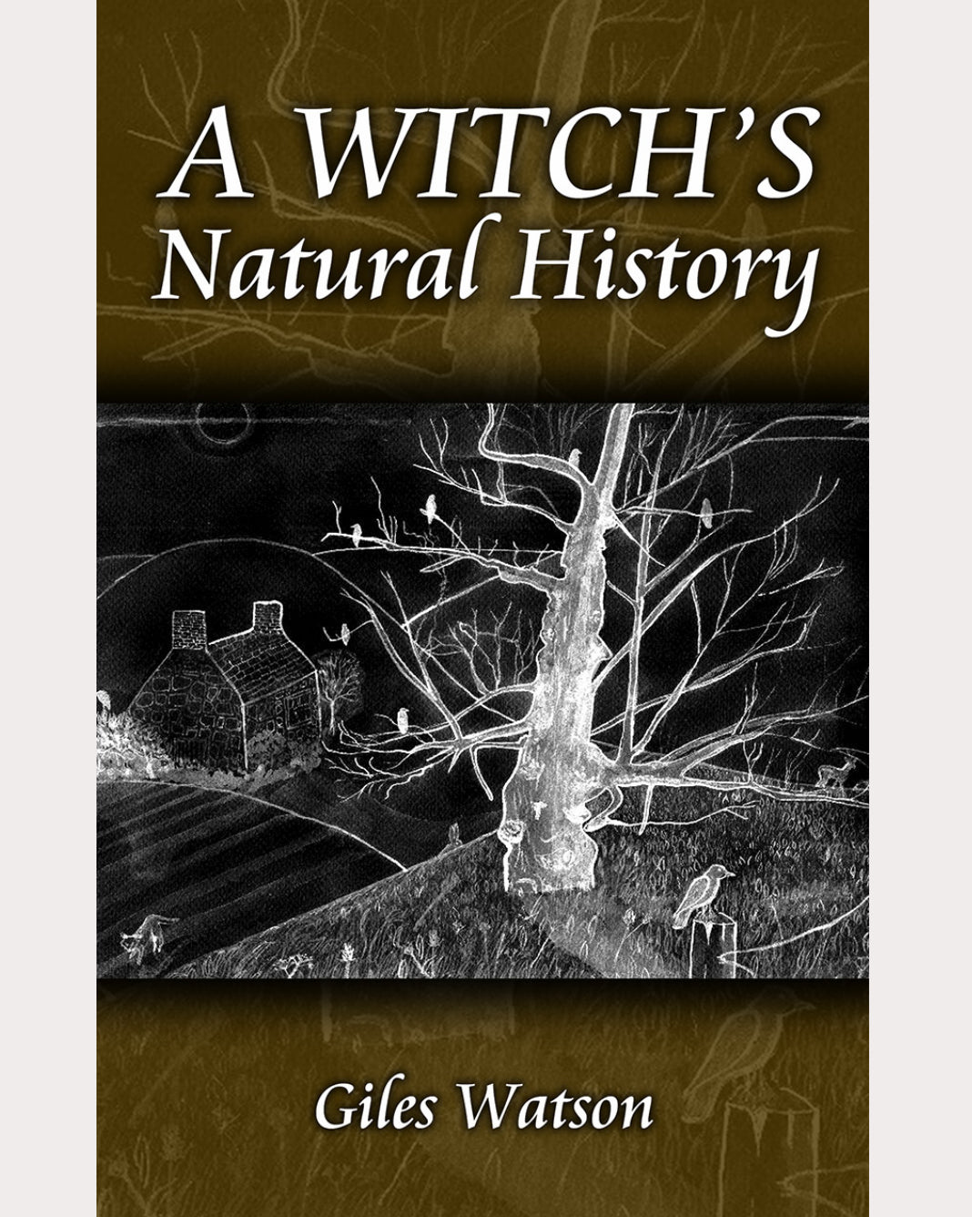 A Witch's Natural History