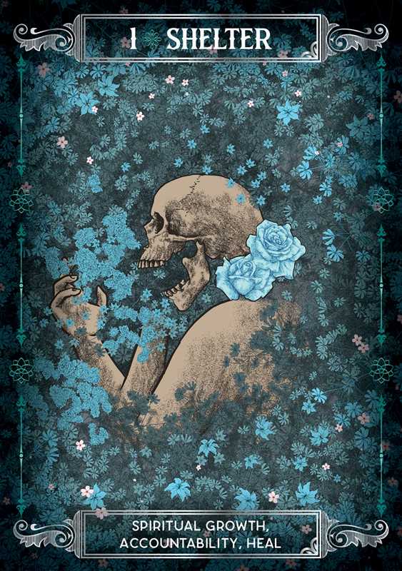 Earth & Bone Oracle
