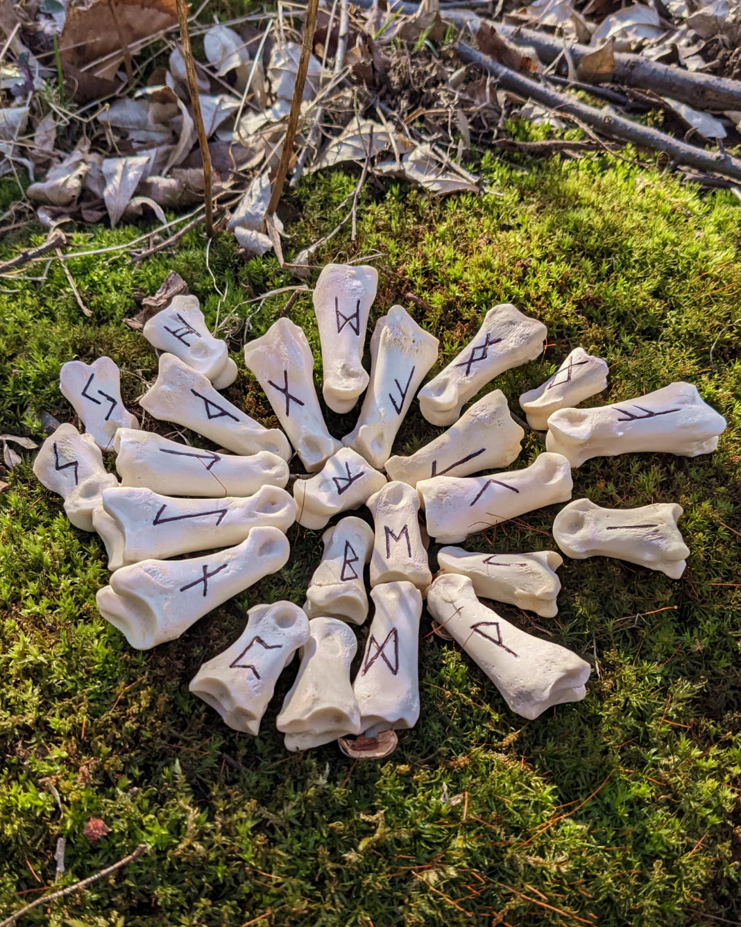 Elder Futhark Deer Bone Rune Set