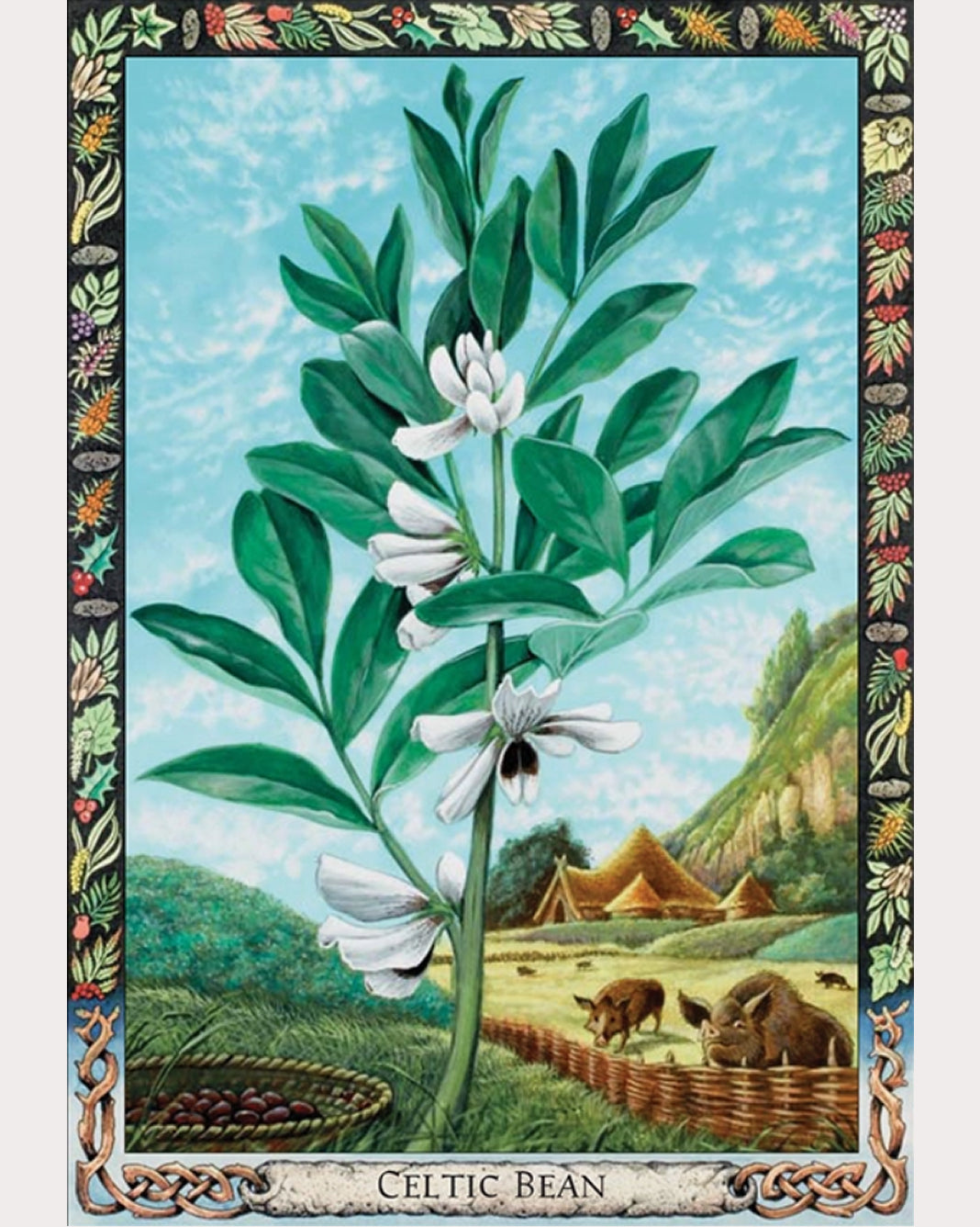 Druid Plant Oracle