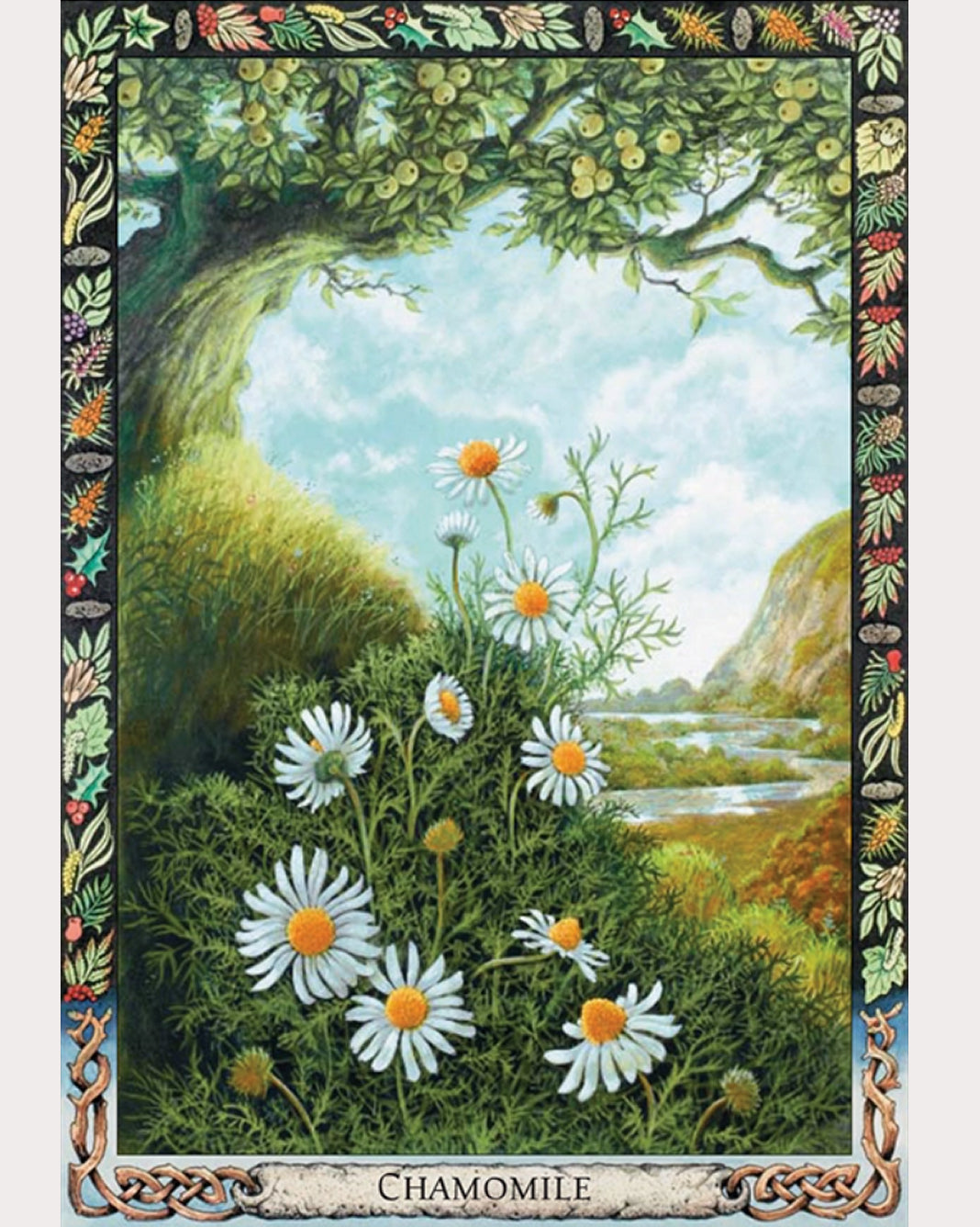 Druid Plant Oracle