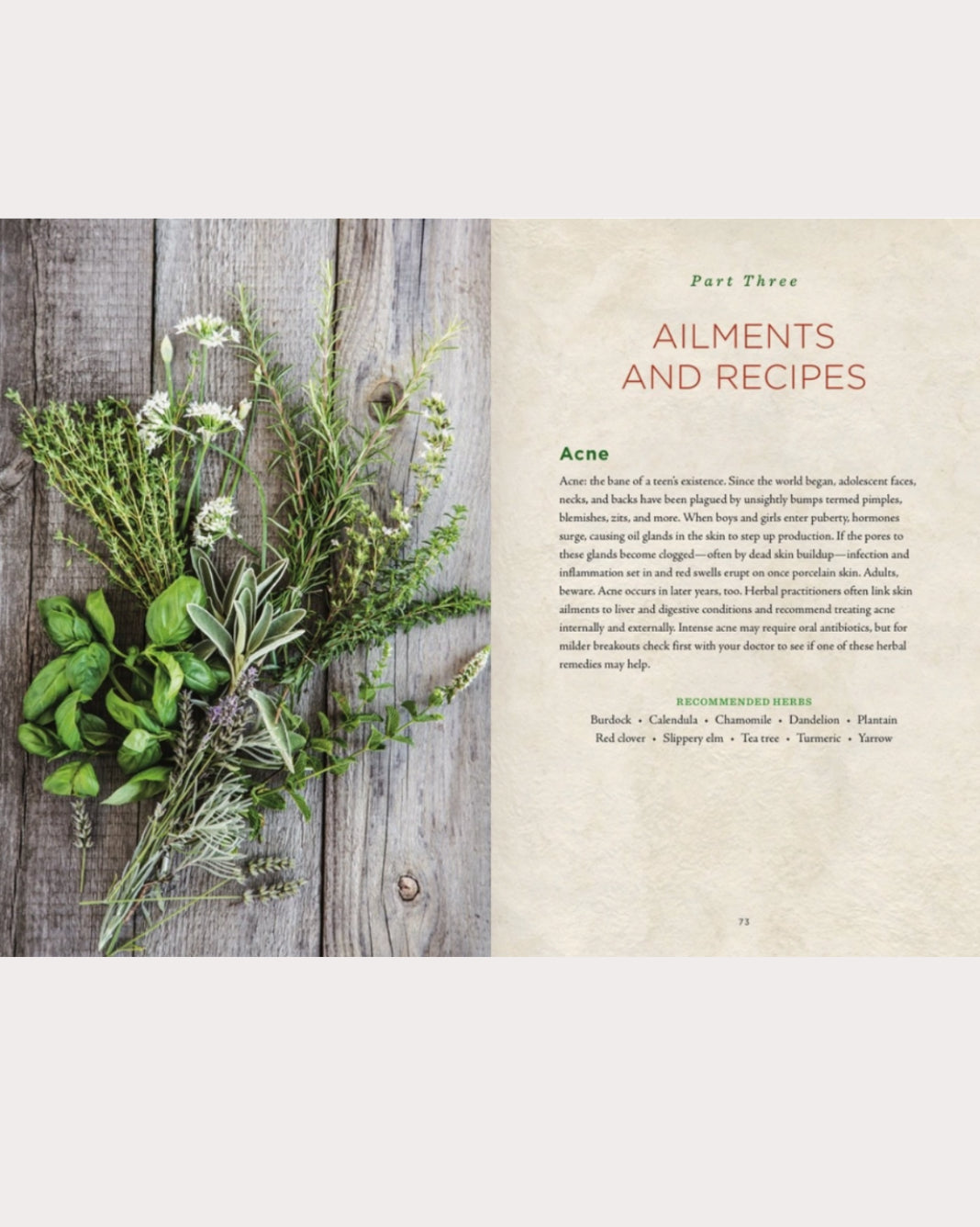 Healing Herbs Handbook