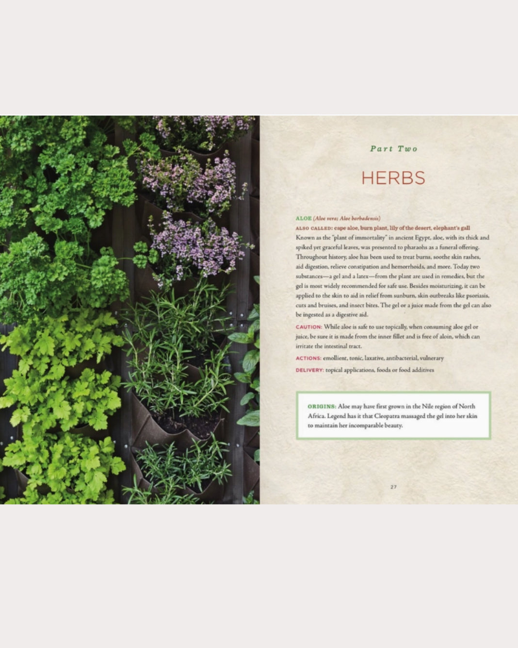 Healing Herbs Handbook