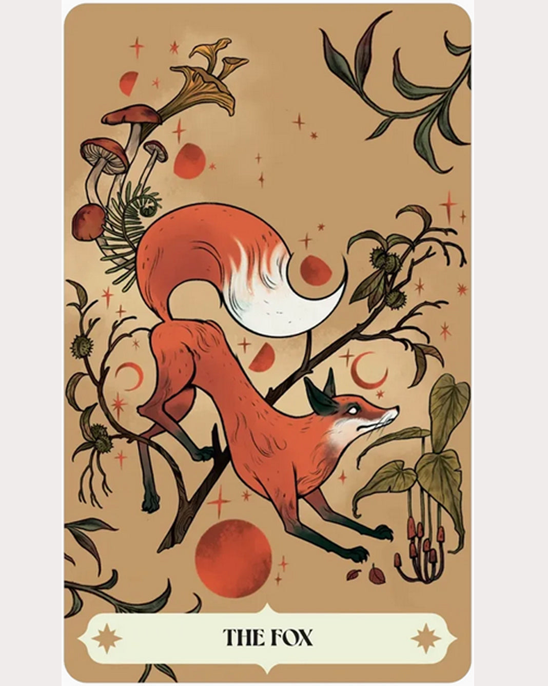 Herbana Witch Oracle