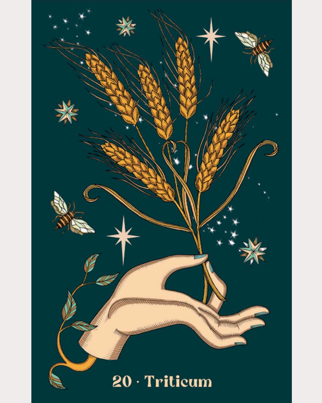 Herbarium Oracle