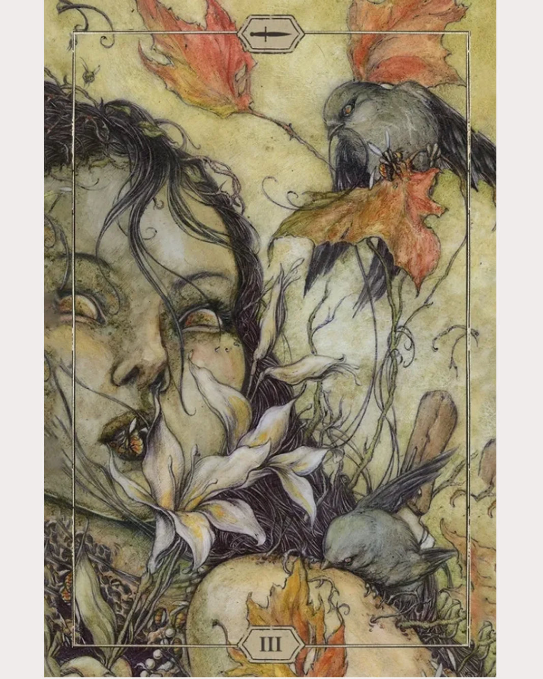Hush Tarot