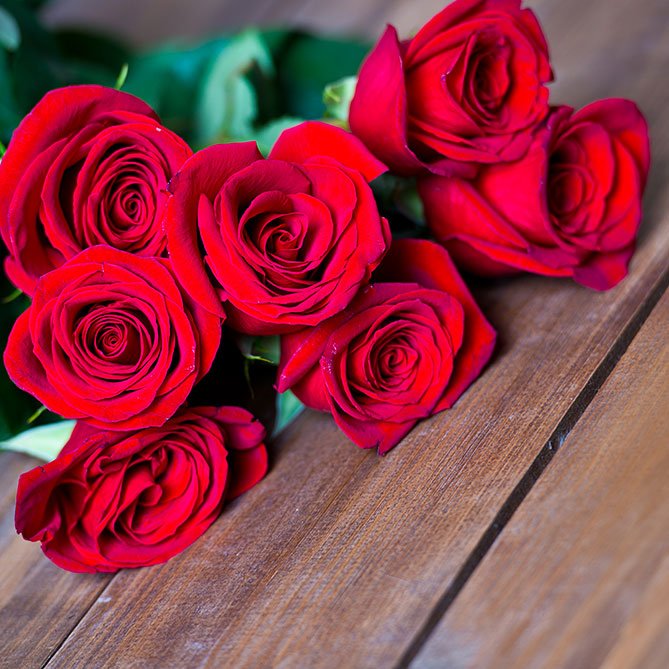 Rose Oil