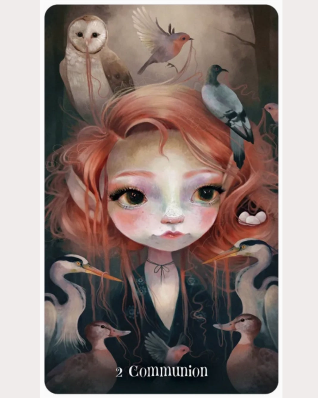 Wisdom of the Wild Things Oracle