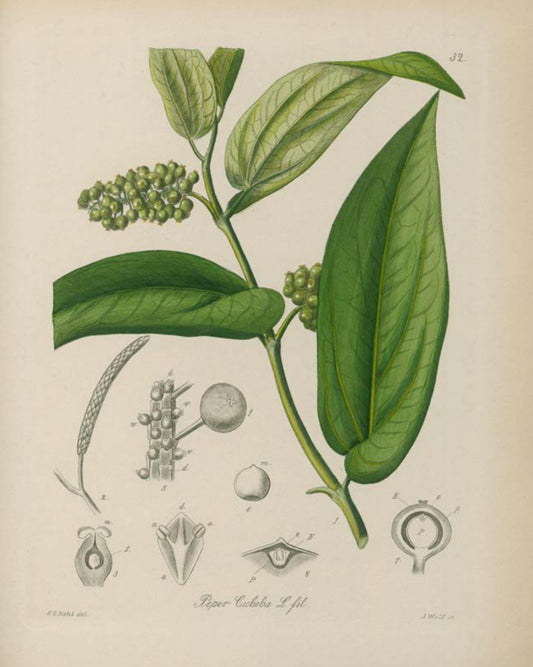 Cubeb