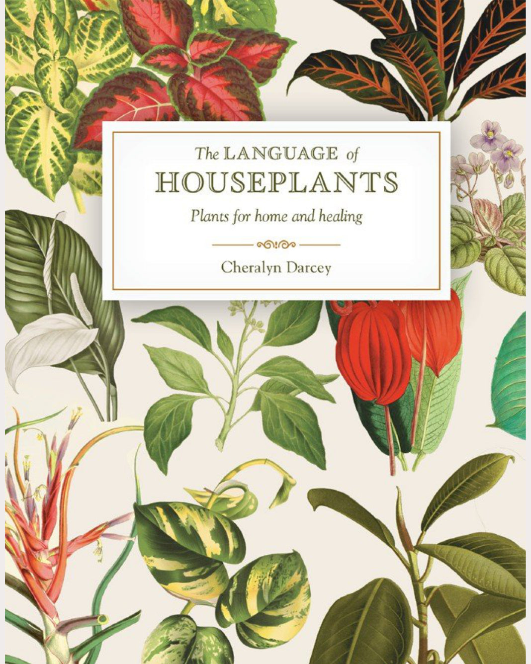 The Language of Houseplants