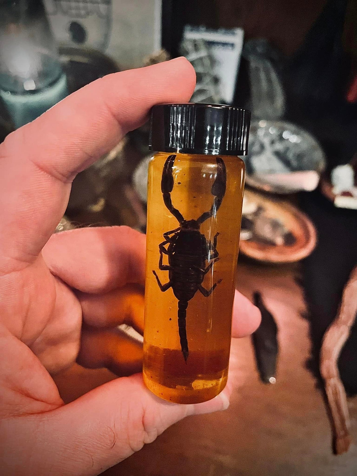 Scorpion Oil