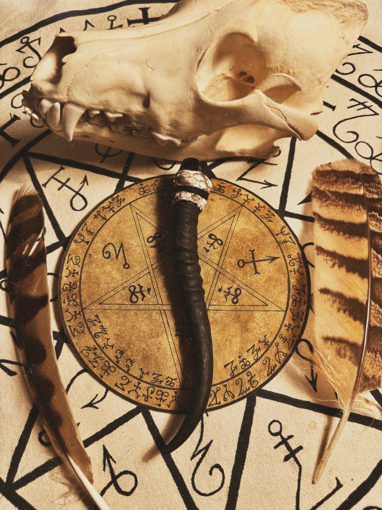 The Witch's Nawl