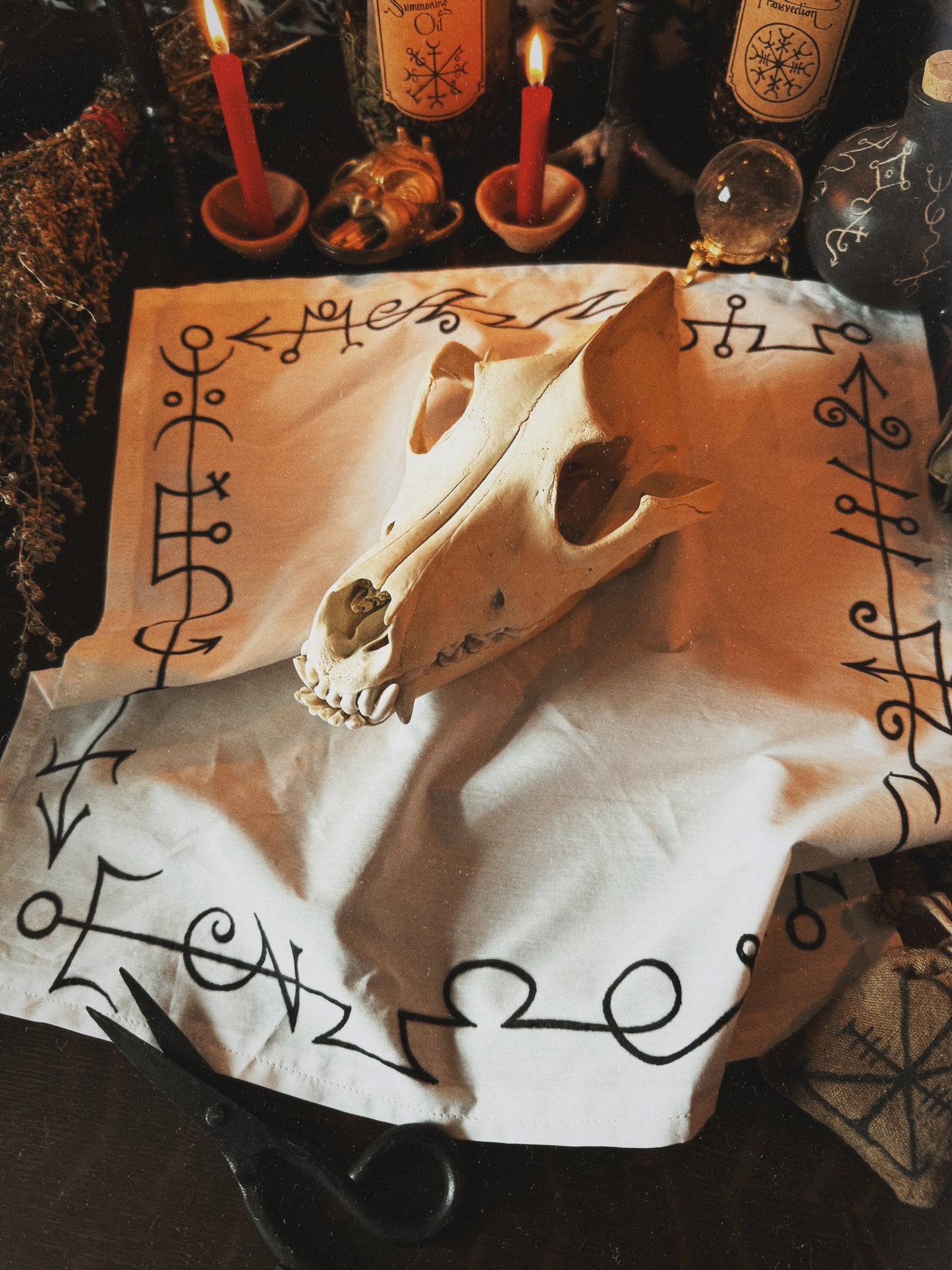 The Death Shroud