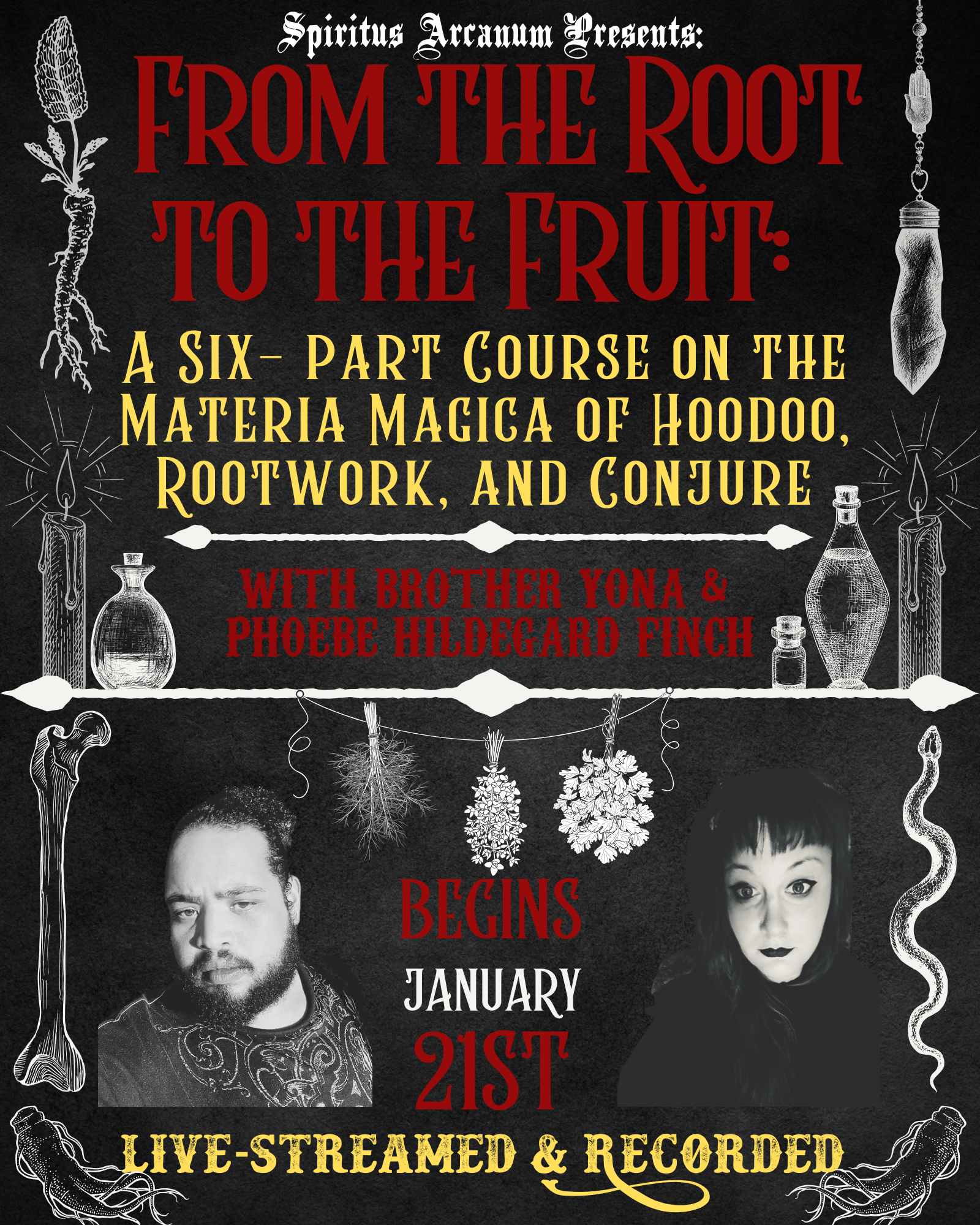 From the Root to the Fruit: Materia Magica of Hoodoo, Rootwork, and Co ...