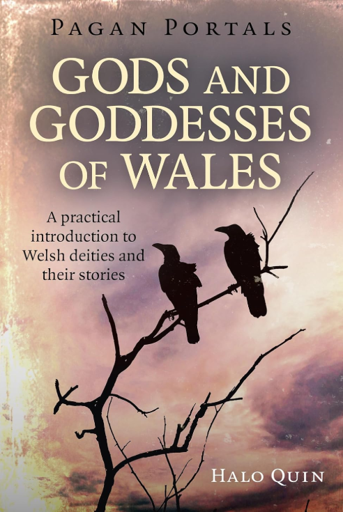 Pagan Portals | Gods and Goddesses of Wales: A Practical Introduction To Welsh Deities And Their Stories