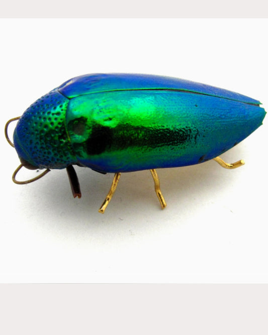 Iridescent Beetle Pin