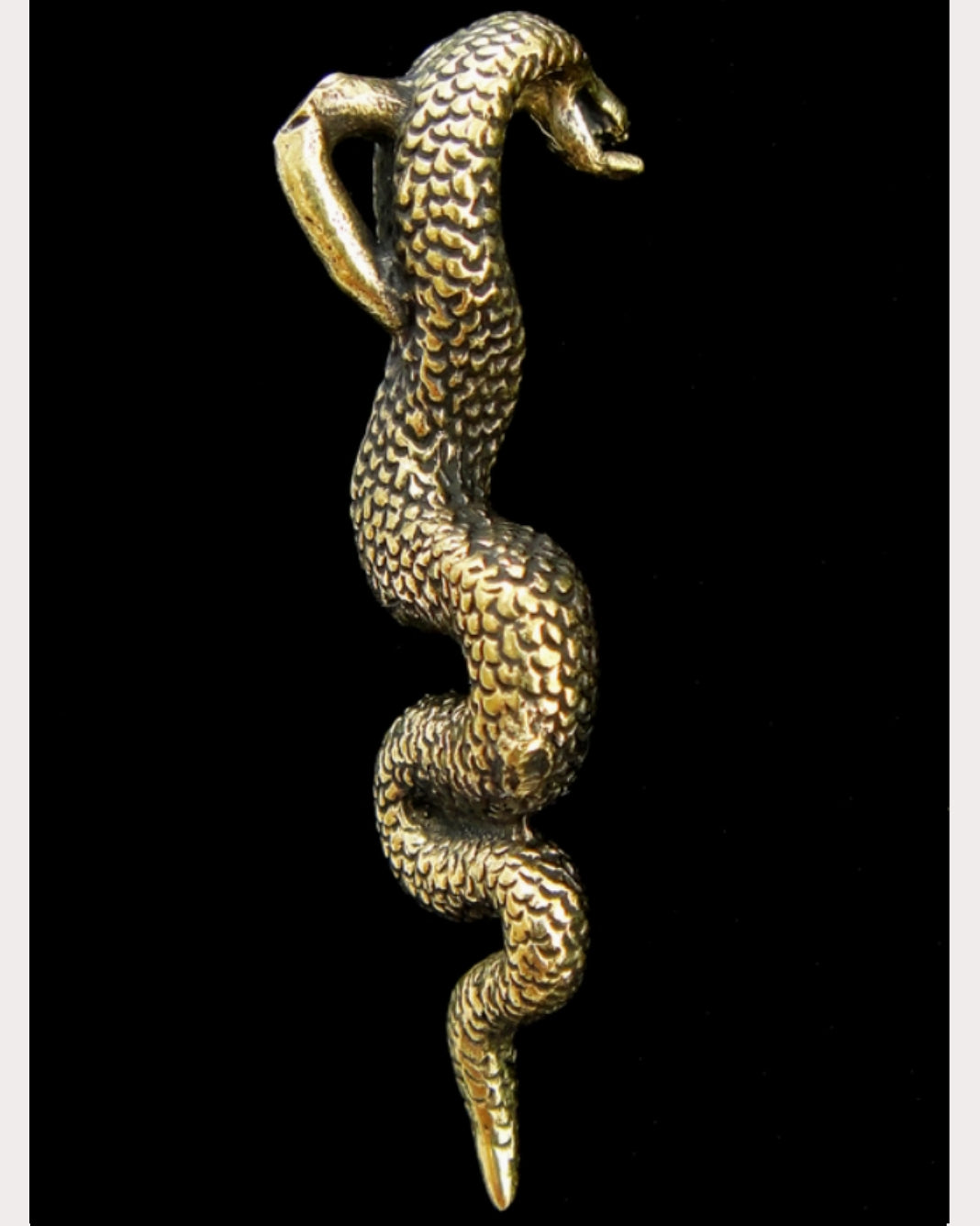 Brass Serpent Pendant