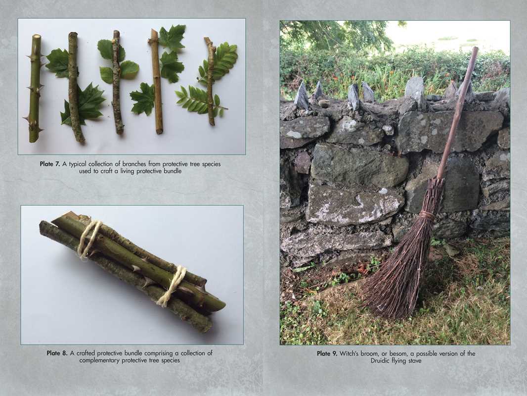 Living Wands of the Druids