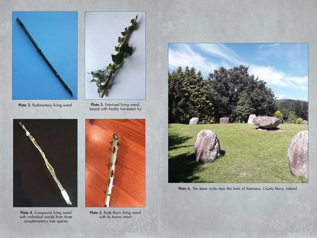 Living Wands of the Druids