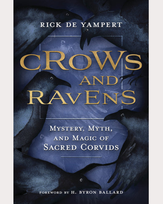 Crows and Ravens