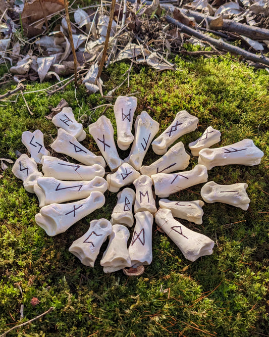Elder Futhark Deer Bone Rune Set