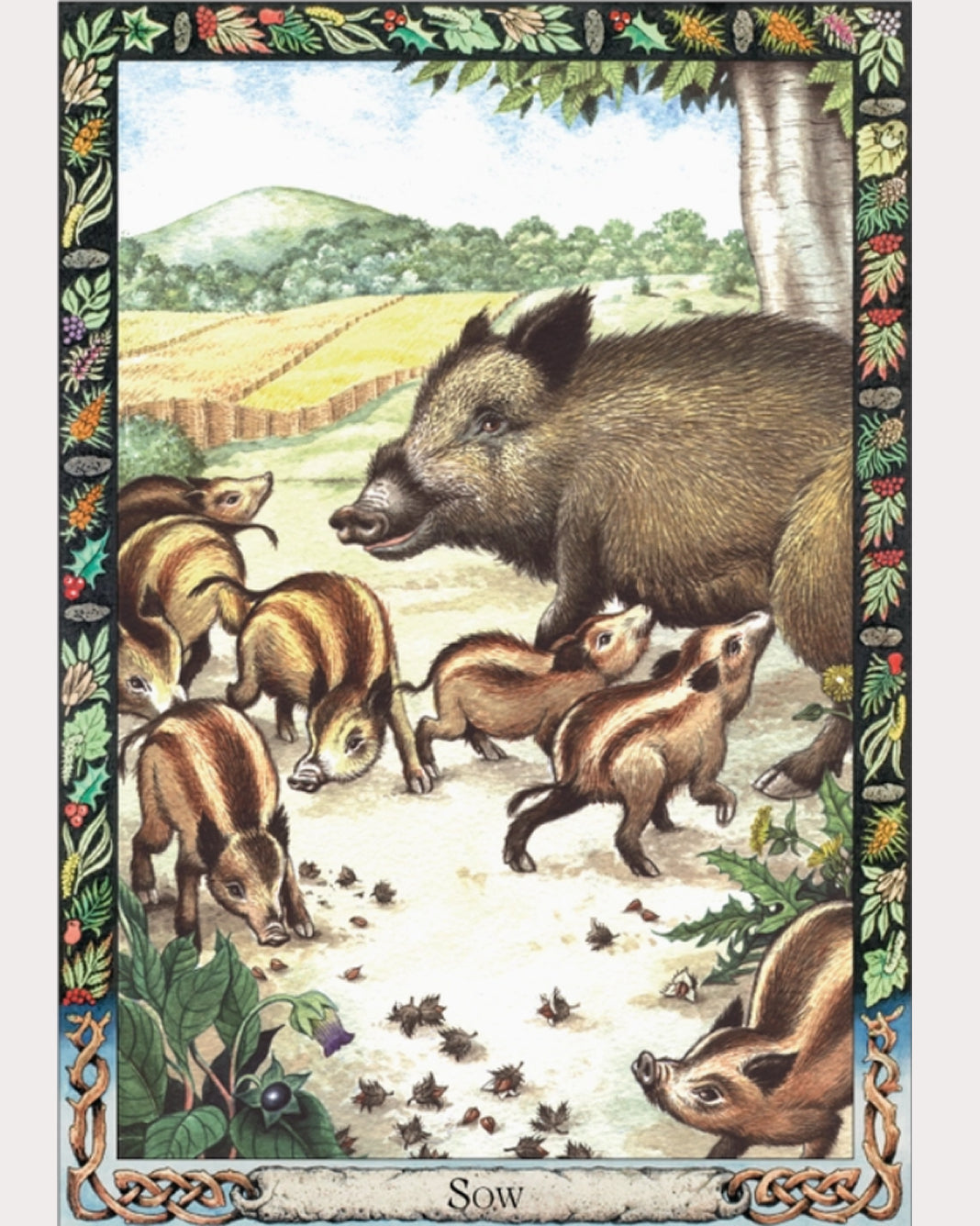 Druid Animal Oracle Deck