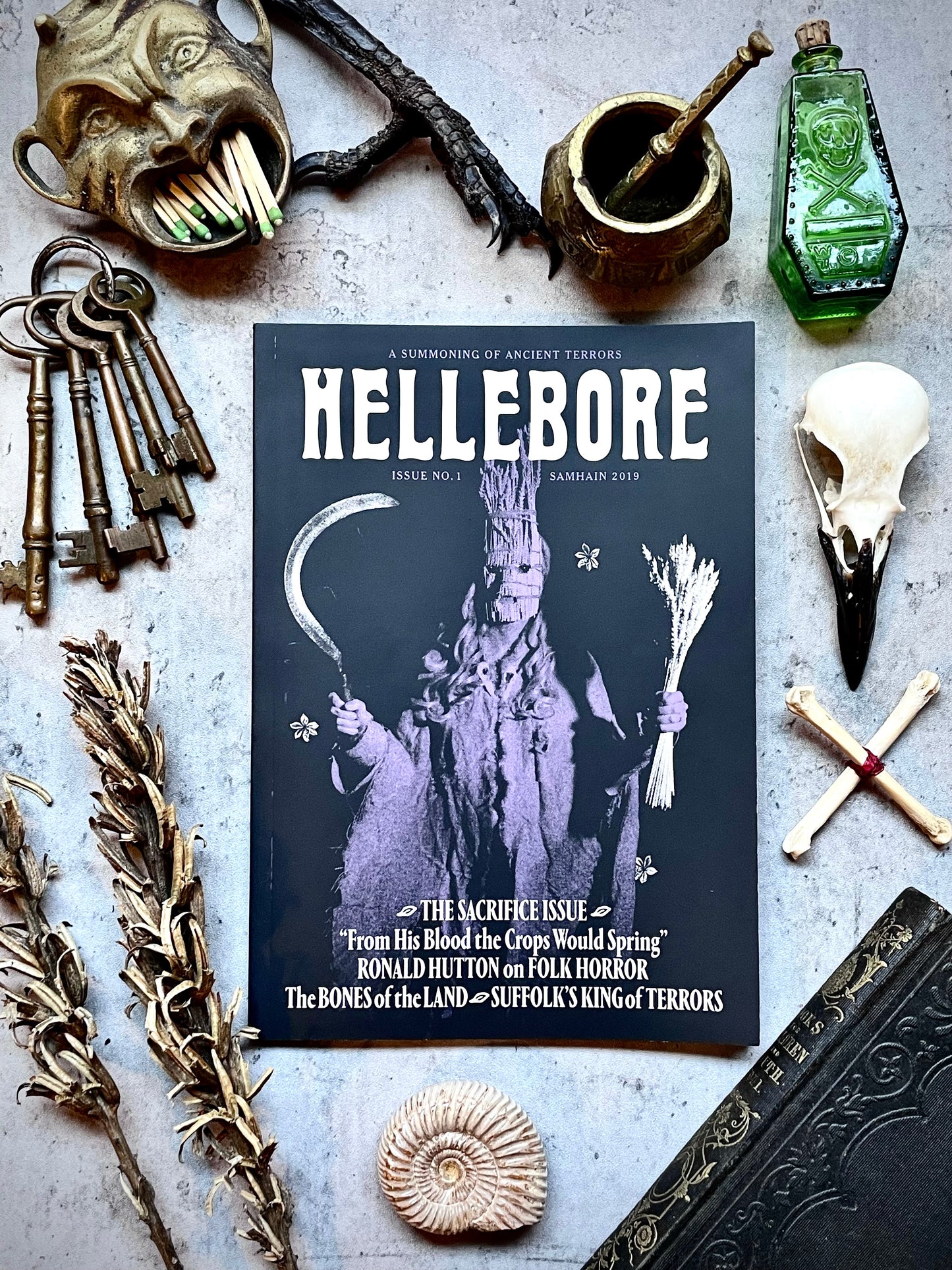Hellebore No. 1