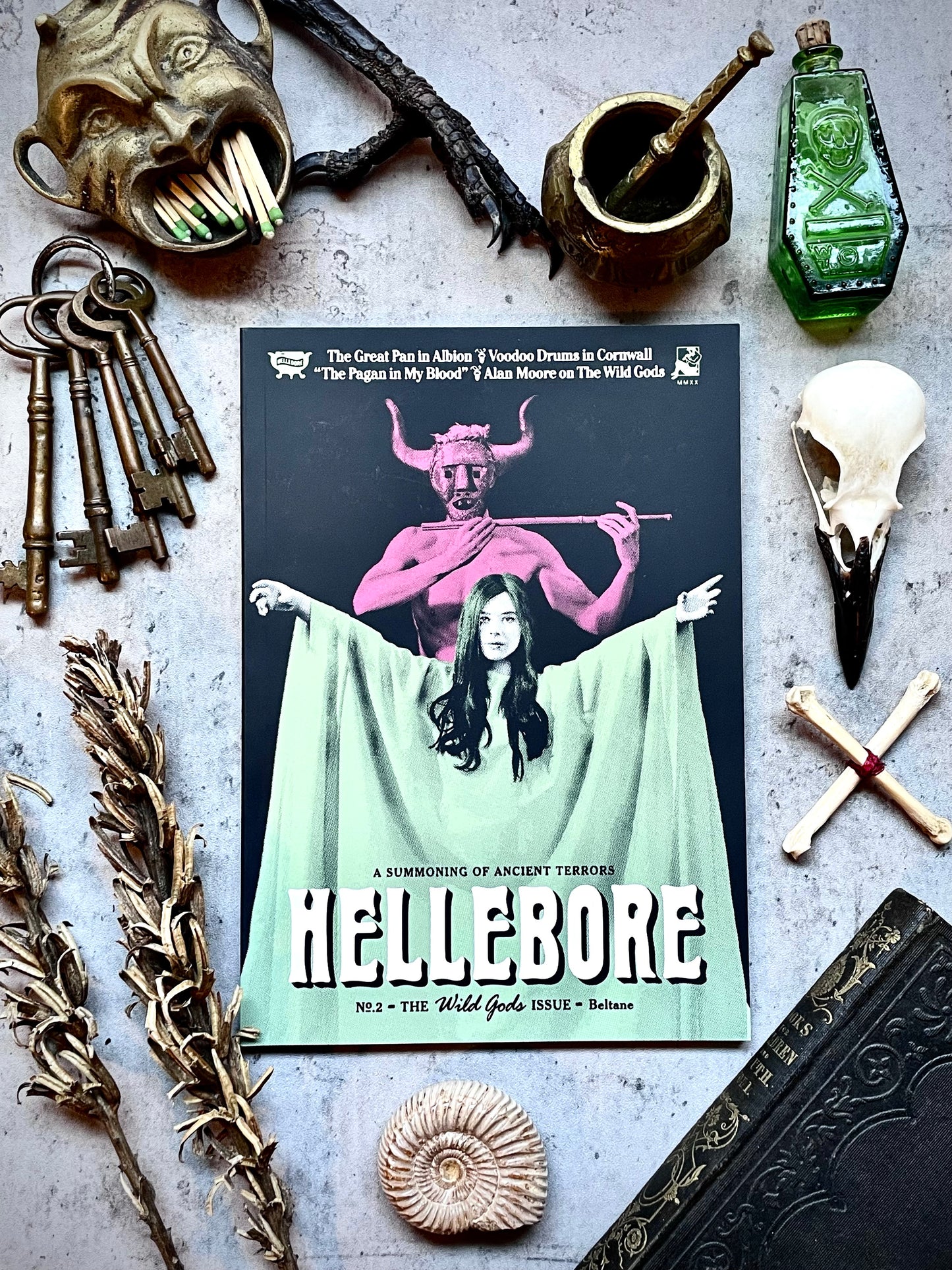 Hellebore No. 2