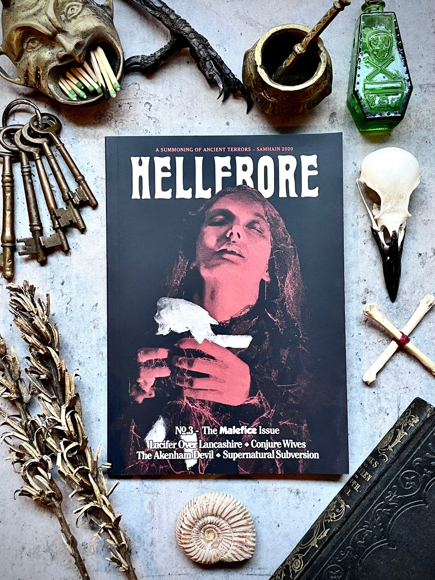 Hellebore No. 3
