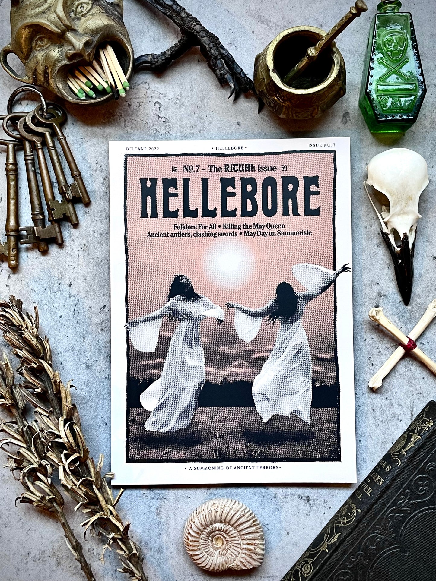 Hellebore No. 7