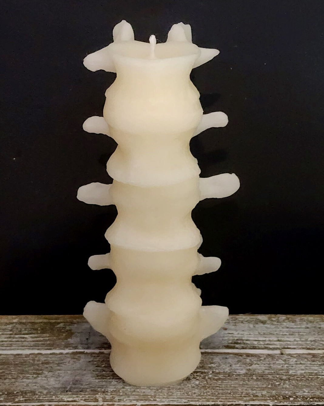Human Spine Beeswax Candle