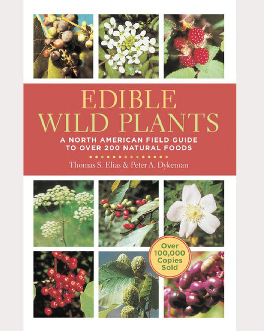 Edible Wild Plants