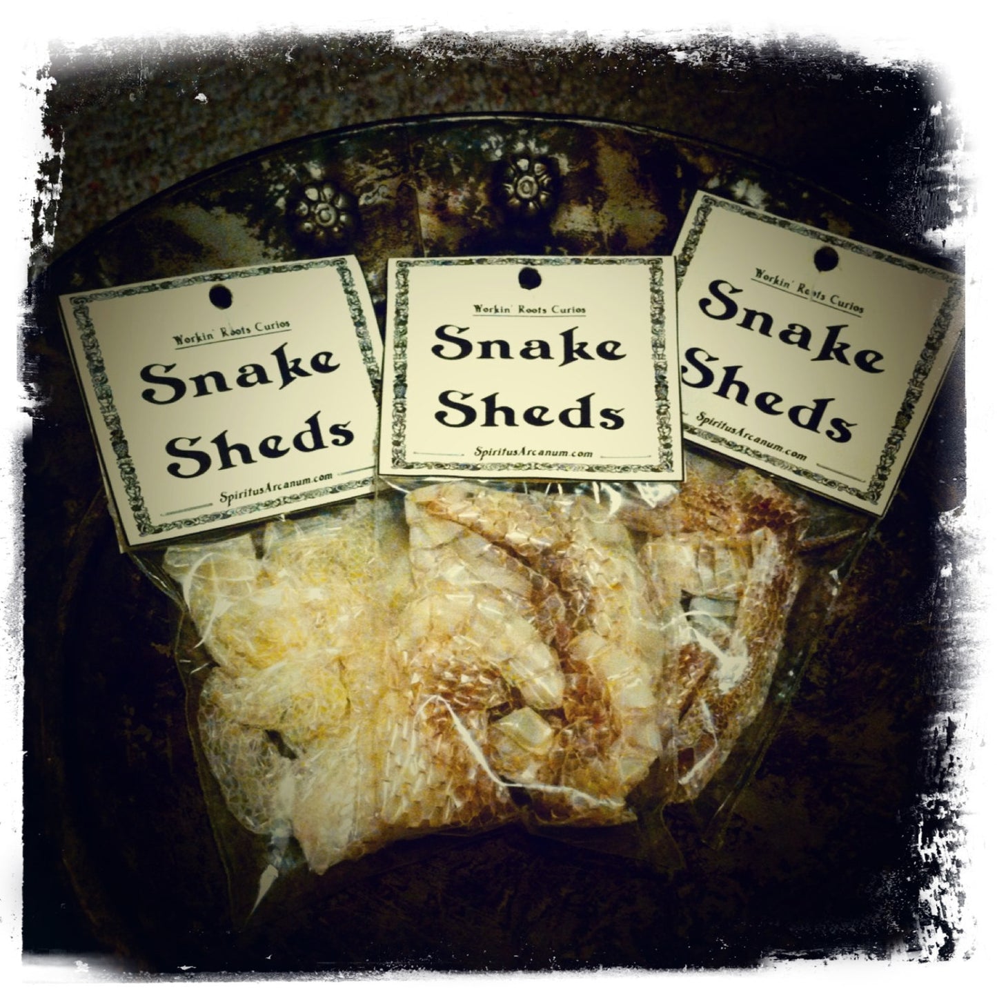 Snake Sheds